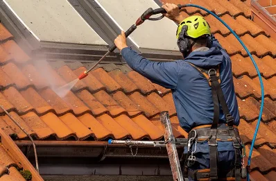 Démoussage et hydrofuge de toiture à Châtelus